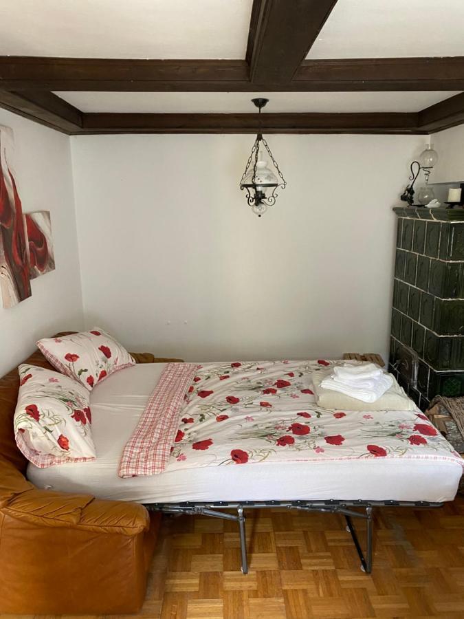 Schonabrunn Ferienhaus Karin מראה חיצוני תמונה